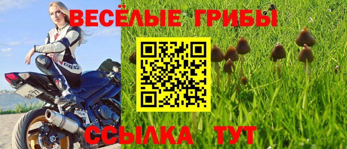 Галлюциногенные грибы Psilocybine cubensis  Вход с VPN  Галлюциногенные грибы ЛСД  Советский 